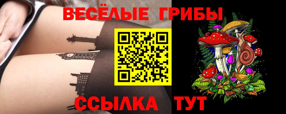 Галлюциногенные грибы ЛСД Кропоткин